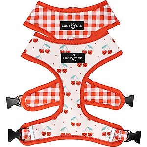 Lucy & Co. The Cheery Cherries Reversible Dog Harness, Red, Large: 20 to 28-in chest