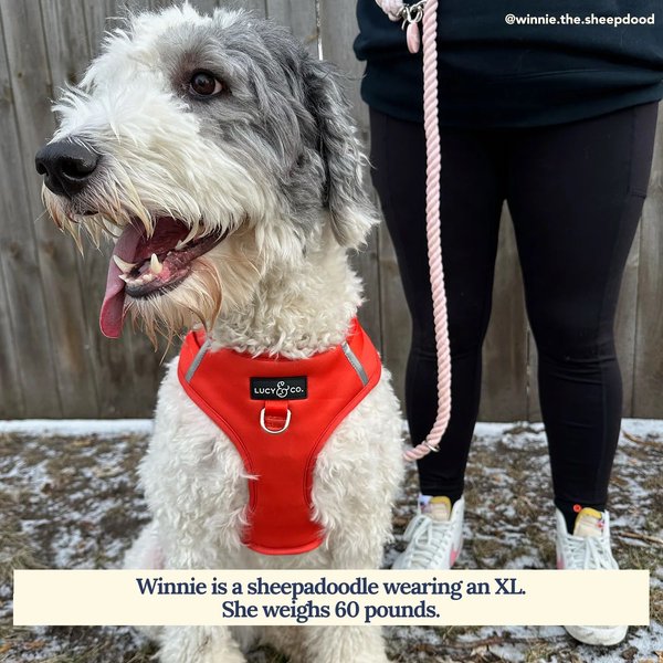 Lucy & Co. The Cheery Red No-Pull Dog Harness, Red