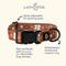 Show in main carousel: Lucy & Co. The Chocolate Meadows Polyester Standard Dog Collar, Brown, Medium: 13 to 20-in neck, 1-in wide slide 2 of 4