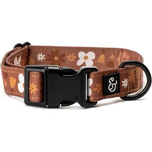Lucy & Co. The Chocolate Meadows Polyester Standard Dog Collar, Brown, Small: 8 to 14-in neck, 1/2-in wide