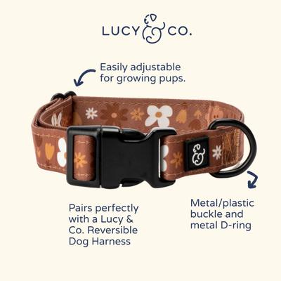 Show full view: Lucy & Co. The Chocolate Meadows Polyester Standard Dog Collar, Brown, Small: 8 to 14-in neck, 1/2-in wide slide 2 of 4