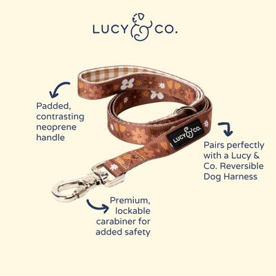 Show full view: Lucy & Co. The Chocolate Meadows Polyester Standard Dog Leash, Brown, Large: 5-ft long, 1-in wide slide 2 of 4