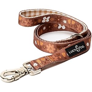 Lucy & Co. The Chocolate Meadows Polyester Standard Dog Leash, Brown, Small: 5-ft long, 3/5-in wide