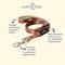 Show in main carousel: Lucy & Co. The Chocolate Meadows Polyester Standard Dog Leash, Brown, Small: 5-ft long, 3/5-in wide slide 2 of 4