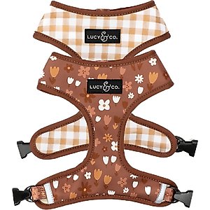 Lucy & Co. The Chocolate Meadows Reversible Basic Dog Harness, Brown, Large: 20 to 28-in chest