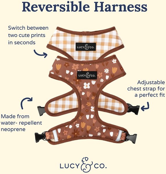 Lucy & Co. The Chocolate Meadows Reversible Basic Dog Harness, Brown
