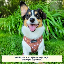 Lucy & Co. The Chocolate Meadows Reversible Basic Dog Harness, Brown, Medium: 17 to 23-in chest slide 2 of 5