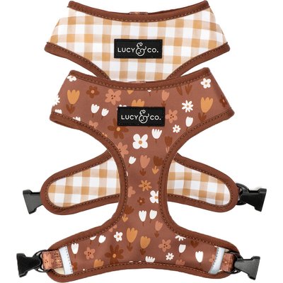 Lucy & Co. Lucy & Co. The Chocolate Meadows Reversible Basic Dog Harness, Brown, X-Large: 23 to 32-in chest
