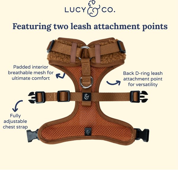 Lucy & Co. The Cinnamon Teddy No-Pull Dog Harness, Brown