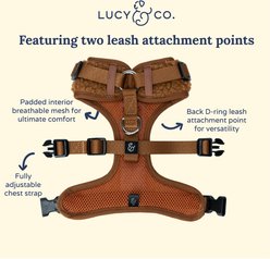 Lucy & Co. The Cinnamon Teddy No-Pull Dog Harness, Brown, Medium: 17 to 23-in chest slide 2 of 5