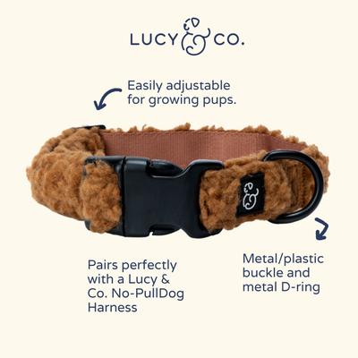 Show full view: Lucy & Co. The Cinnamon Teddy Polyester Standard Dog Collar, Brown, Small: 8 to 14-in neck, 1/2-in wide slide 3 of 4
