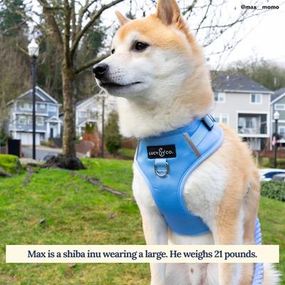 Show full view: Lucy & Co. The Denim Blue No-Pull Dog Harness, Blue, Small: 14 to 18-in chest slide 2 of 7