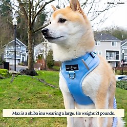 Lucy & Co. The Denim Blue No-Pull Dog Harness, Blue, X-Large: 23 to 32-in chest slide 2 of 6