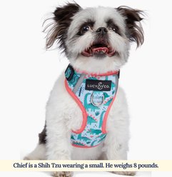 Lucy & Co. The DinoROAR No-Pull Dog Harness, Green, X-Small: 12 to 15-in chest slide 2 of 7