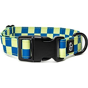 Lucy & Co. The Have a Nice Day Polyester Dog Collar, Blue, Medium: 13 to 20-in neck, 1-in wide