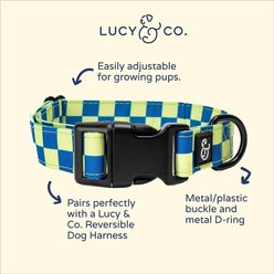 Lucy & Co. The Have a Nice Day Polyester Dog Collar, Blue, Medium: 13 to 20-in neck, 1-in wide slide 2 of 4