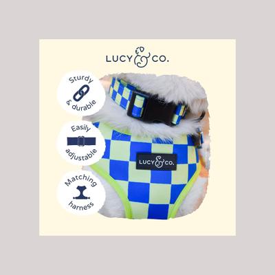 Show full view: Lucy & Co. The Have a Nice Day Polyester Dog Collar, Blue, Medium: 13 to 20-in neck, 1-in wide slide 3 of 4
