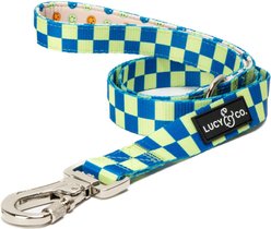 Lucy & Co. The Have a Nice Day Polyester Padded Handle Dog Leash, Blue, Large: 5-ft long, 1-in wide