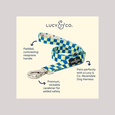 Show full view: Lucy & Co. The Have a Nice Day Polyester Padded Handle Dog Leash, Blue, Large: 5-ft long, 1-in wide slide 2 of 4