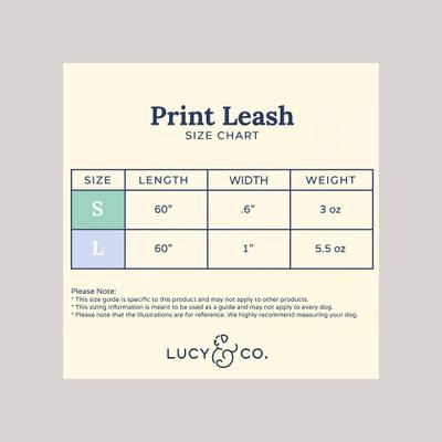 Show full view: Lucy & Co. The Have a Nice Day Polyester Padded Handle Dog Leash, Blue, Large: 5-ft long, 1-in wide slide 4 of 4