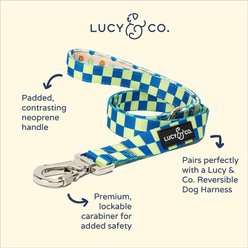 Lucy & Co. The Have a Nice Day Polyester Padded Handle Dog Leash, Blue, Small: 5-ft long, 0.6-in wide slide 2 of 4