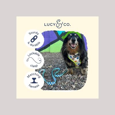 Show full view: Lucy & Co. The Have a Nice Day Polyester Padded Handle Dog Leash, Blue, Small: 5-ft long, 0.6-in wide slide 3 of 4