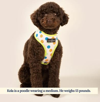 Show full view: Lucy & Co. The Have a Nice Day Reversible Dog Harness, Blue, Large: 20 to 28-in chest slide 8 of 10