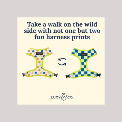 Show full view: Lucy & Co. The Have a Nice Day Reversible Dog Harness, Blue, Medium: 17 to 23-in chest slide 3 of 10