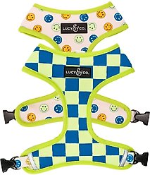 Lucy & Co. The Have a Nice Day Reversible Dog Harness, Blue, Small: 14 to 18-in chest