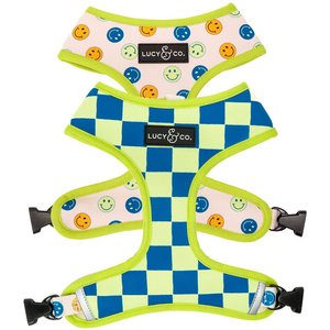 Lucy & Co. The Have a Nice Day Reversible Dog Harness, Blue, Small: 14 to 18-in chest