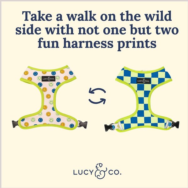 Lucy & Co. The Have a Nice Day Reversible Dog Harness, Blue