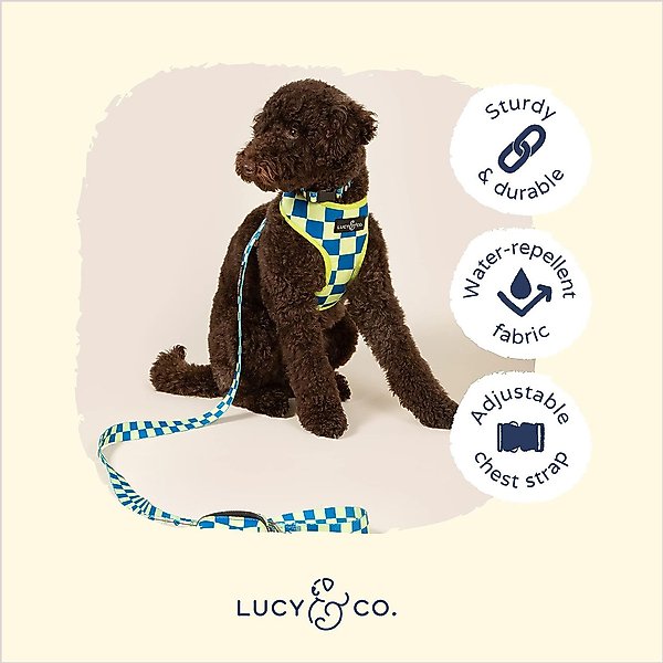 Lucy & Co. The Have a Nice Day Reversible Dog Harness, Blue