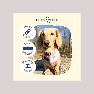 Show full view: Lucy & Co. The In the Clouds Polyester Dog Collar, Pink, Large: 16 to 26-in neck, 1.5-in wide slide 3 of 4