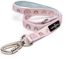 Lucy & Co. The In the Clouds Polyester Padded Handle Dog Leash, Pink, Large: 5-ft long, 1-in wide