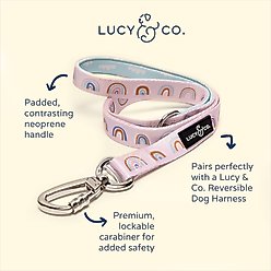 Lucy & Co. The In the Clouds Polyester Padded Handle Dog Leash, Pink, Large: 5-ft long, 1-in wide slide 2 of 4