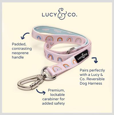 Show full view: Lucy & Co. The In the Clouds Polyester Padded Handle Dog Leash, Pink, Large: 5-ft long, 1-in wide slide 3 of 5