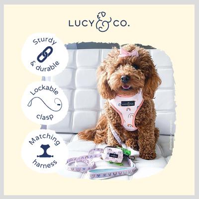 Show full view: Lucy & Co. The In the Clouds Polyester Padded Handle Dog Leash, Pink, Large: 5-ft long, 1-in wide slide 4 of 5