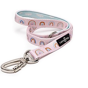 Lucy & Co. The In the Clouds Polyester Padded Handle Dog Leash, Pink, Small: 5-ft long, 0.6-in wide