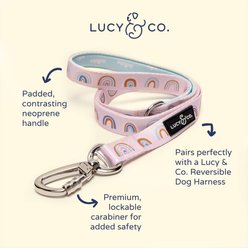Lucy & Co. The In the Clouds Polyester Padded Handle Dog Leash, Pink, Small: 5-ft long, 0.6-in wide slide 2 of 4