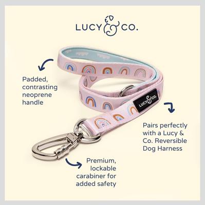 Show full view: Lucy & Co. The In the Clouds Polyester Padded Handle Dog Leash, Pink, Small: 5-ft long, 0.6-in wide slide 2 of 4