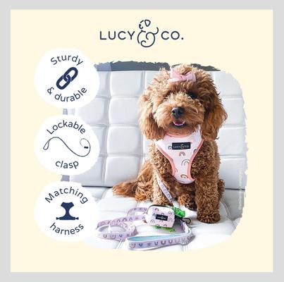 Show full view: Lucy & Co. The In the Clouds Polyester Padded Handle Dog Leash, Pink, Small: 5-ft long, 0.6-in wide slide 3 of 4