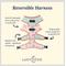 Show in main carousel: Lucy & Co. The In the Clouds Reversible Dog Harness, Pink, Small: 14 to 18-in chest slide 2 of 8