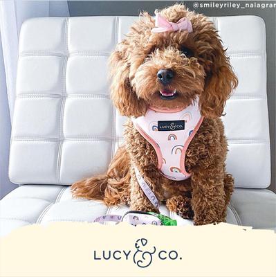 Show full view: Lucy & Co. The In the Clouds Reversible Dog Harness, Pink, Small: 14 to 18-in chest slide 5 of 8