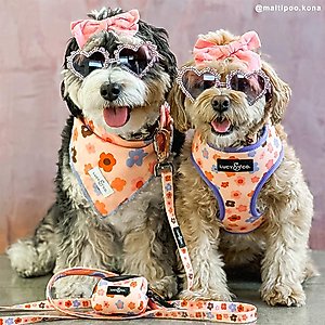 Lucy & Co. The Let's Groove Dog Bandana, Coral, Large