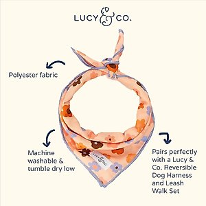 Lucy & Co. The Let's Groove Dog Bandana, Coral, Large