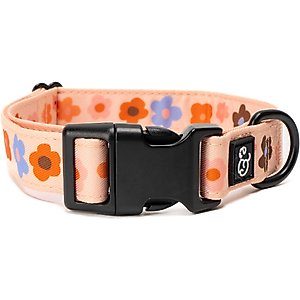 Lucy & Co. The Let's Groove Polyester Dog Collar, Coral, Large: 16 to 26-in neck, 1.5-in wide