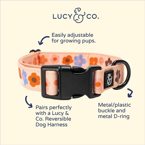 Lucy & Co. The Let's Groove Polyester Dog Collar, Coral