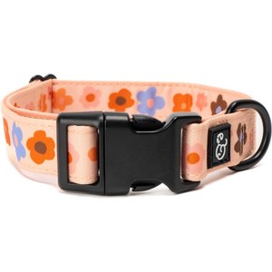 Lucy & Co. The Let's Groove Polyester Dog Collar, Coral, Medium: 13 to 20-in neck, 1-in wide