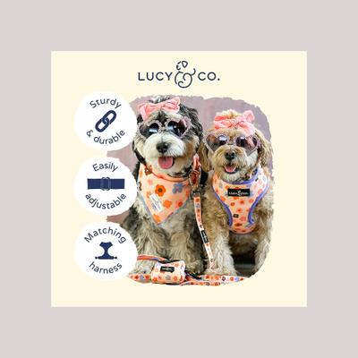 Show full view: Lucy & Co. The Let's Groove Polyester Dog Collar, Coral, Medium: 13 to 20-in neck, 1-in wide slide 3 of 4