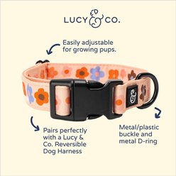 Lucy & Co. The Let's Groove Polyester Dog Collar, Coral, Small: 8 to 14-in neck, 1/2-in wide slide 2 of 4